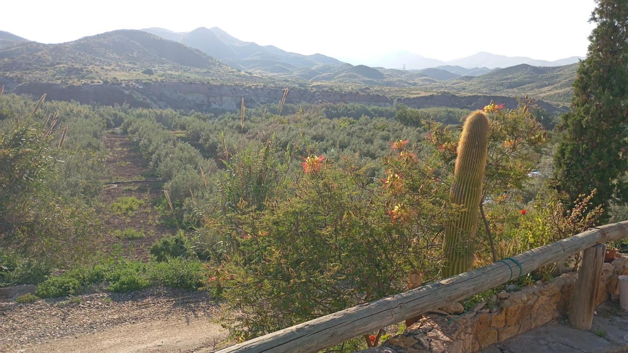 Cortijo Rural Molino El Tarahal Con Piscina Y Zonas Compartidas 外观 照片